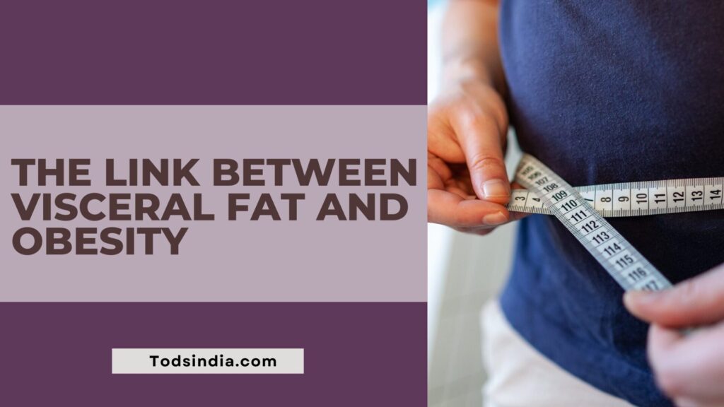 Visceral Fat